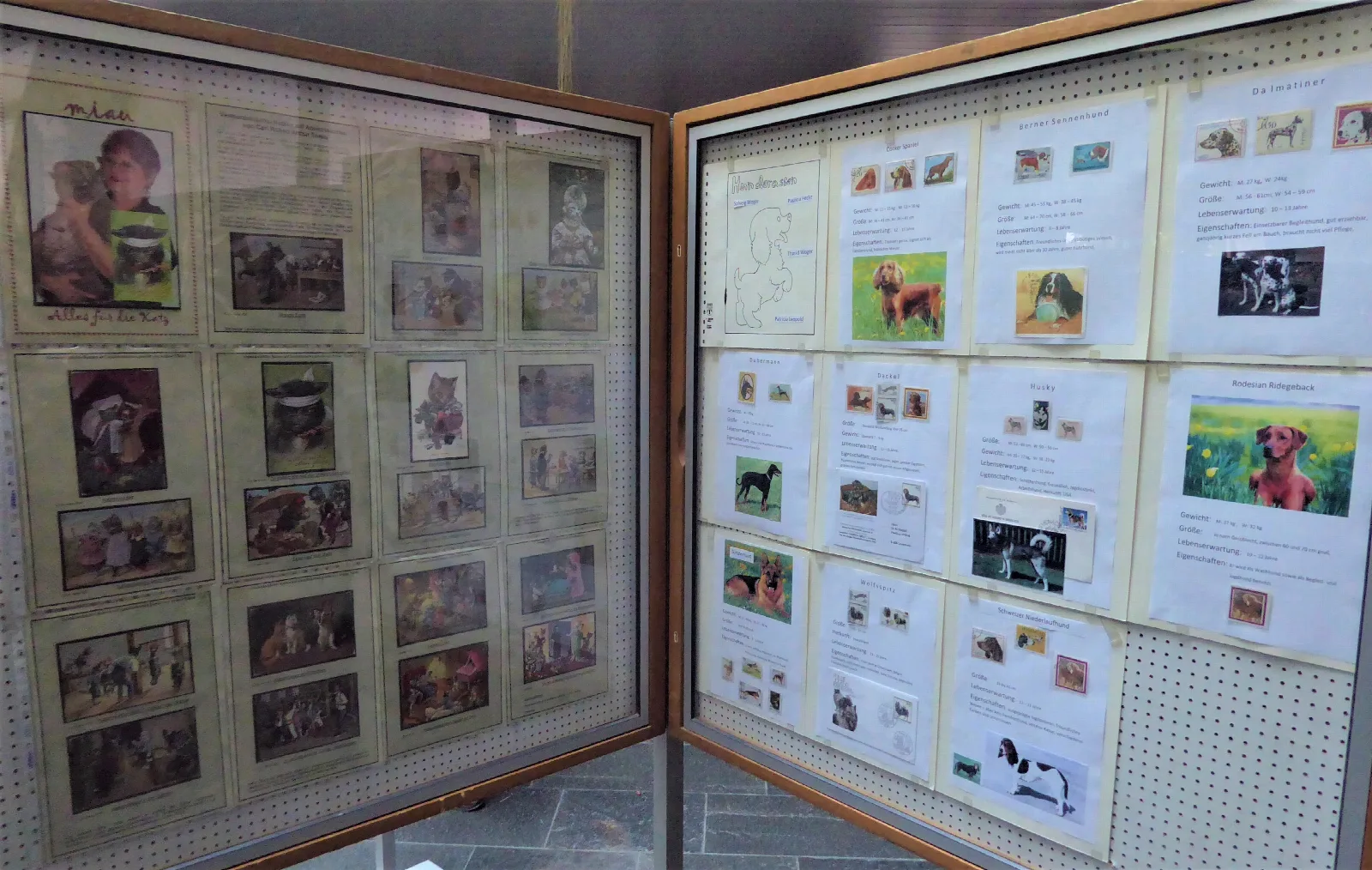 Eine Ausstellungssammlung, die sich mit dem Thema Hunde befasst